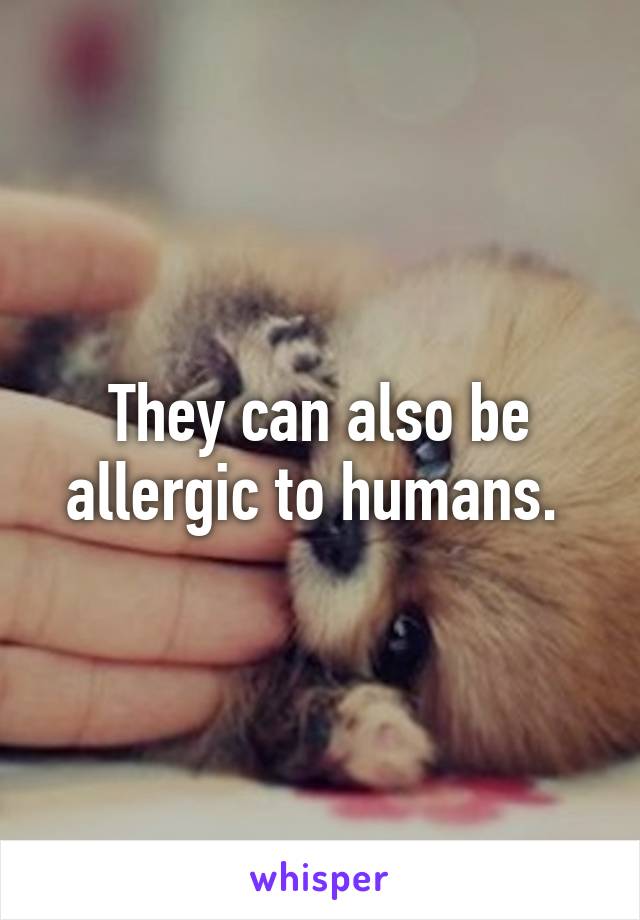 They can also be allergic to humans. 