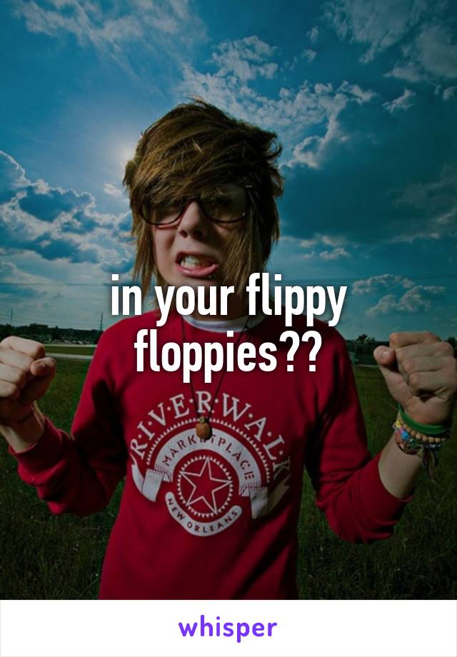 in your flippy floppies??