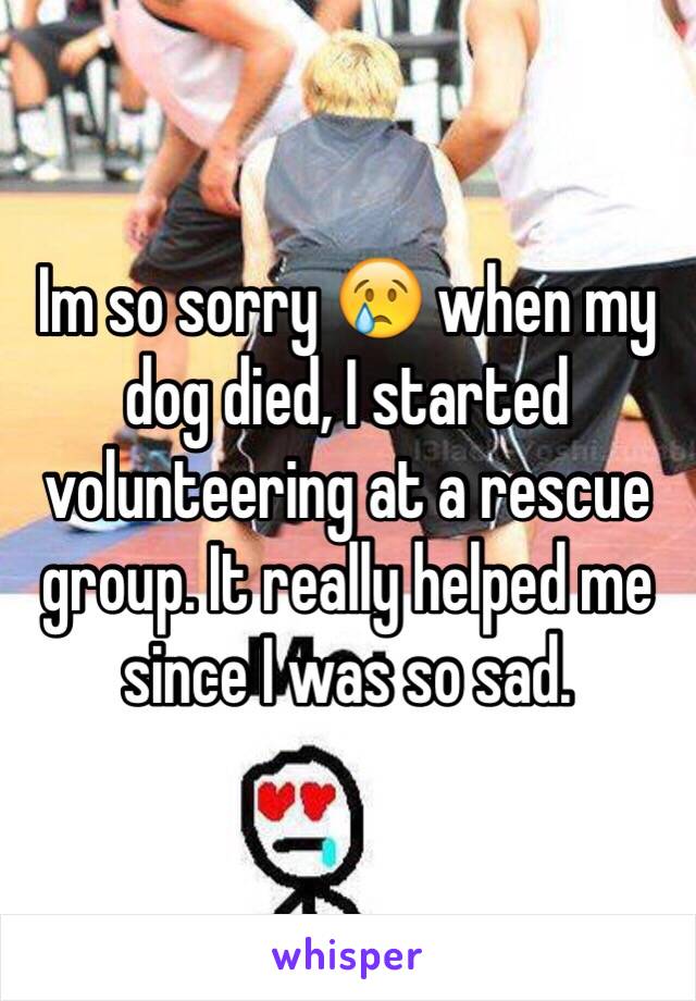 Im so sorry 😢 when my dog died, I started volunteering at a rescue group. It really helped me since I was so sad.