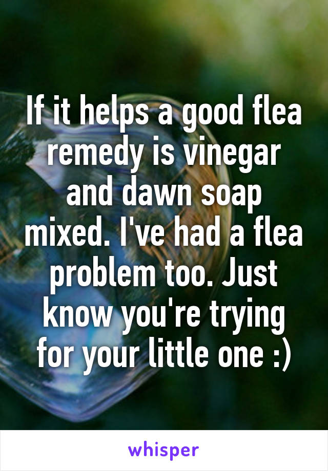 If it helps a good flea remedy is vinegar and dawn soap mixed. I've had a flea problem too. Just know you're trying for your little one :)