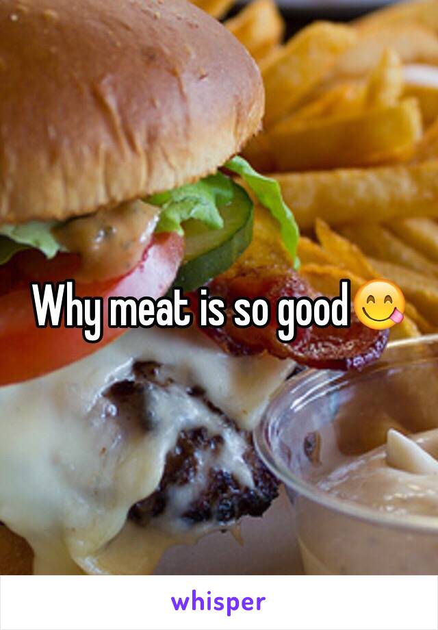 Why meat is so good😋