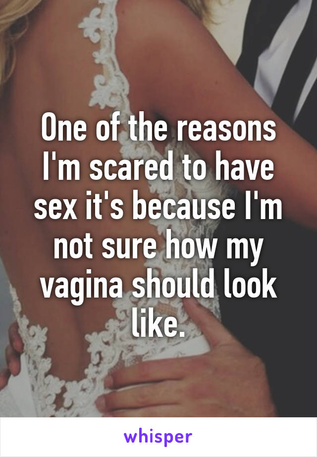 One of the reasons I'm scared to have sex it's because I'm not sure how my vagina should look like.