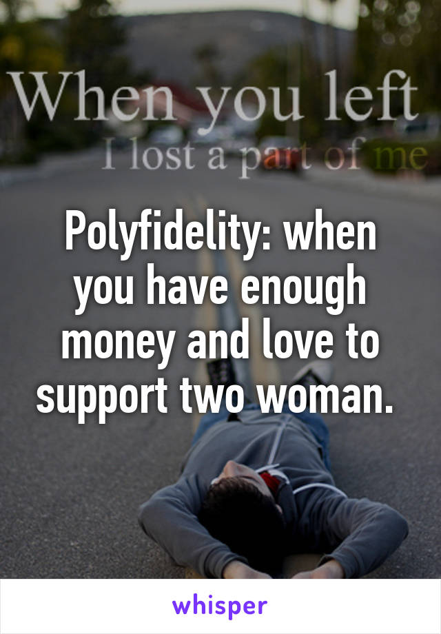 Polyfidelity: when you have enough money and love to support two woman. 