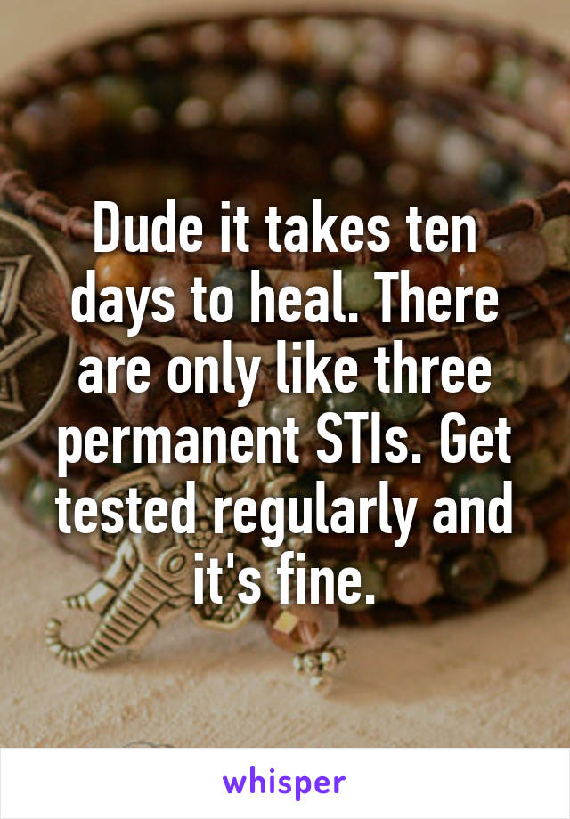 Dude it takes ten days to heal. There are only like three permanent STIs. Get tested regularly and it's fine.