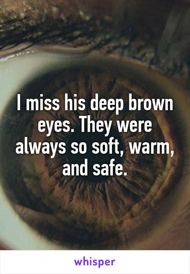 I miss his deep brown eyes. They were always so soft, warm, and safe.