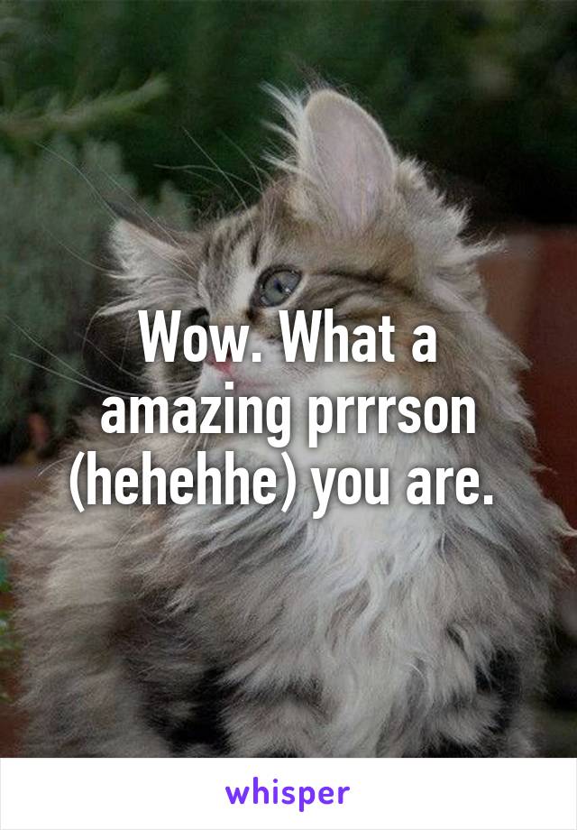 Wow. What a amazing prrrson (hehehhe) you are. 