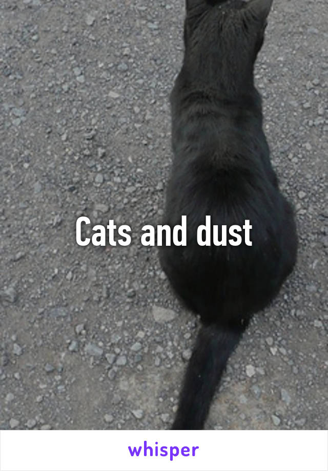 Cats and dust