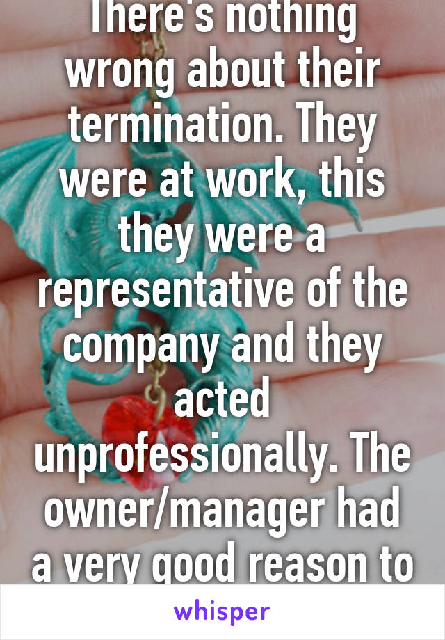 There's nothing wrong about their termination. They were at work, this they were a representative of the company and they acted unprofessionally. The owner/manager had a very good reason to fire them.