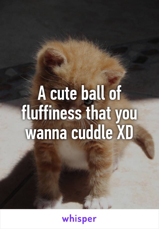 A cute ball of fluffiness that you wanna cuddle XD