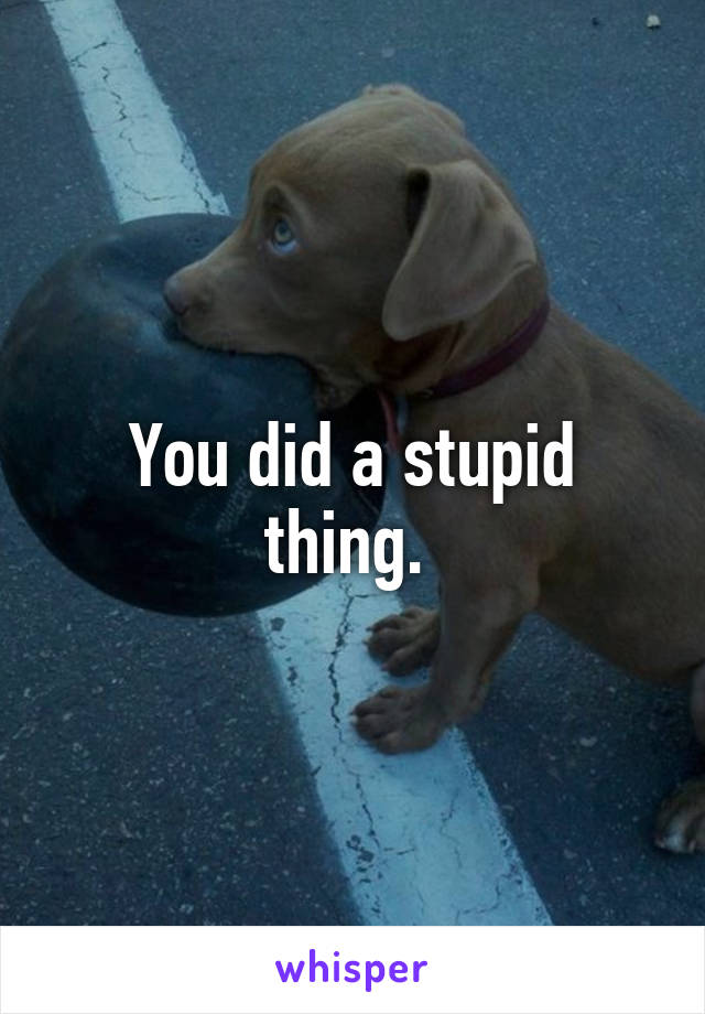 You did a stupid thing. 