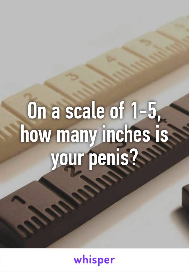 On a scale of 1-5, how many inches is your penis?