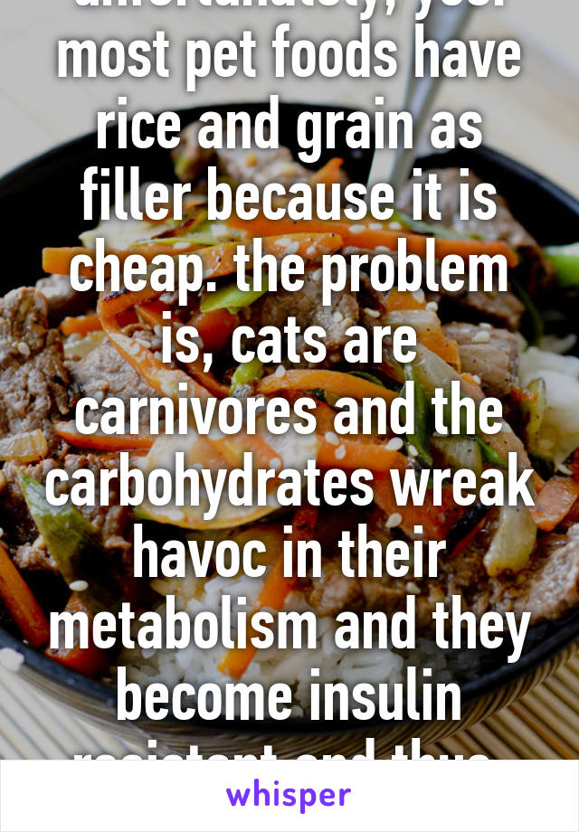 unfortunately, yes. most pet foods have rice and grain as filler because it is cheap. the problem is, cats are carnivores and the carbohydrates wreak havoc in their metabolism and they become insulin resistant and thus, diabetic  