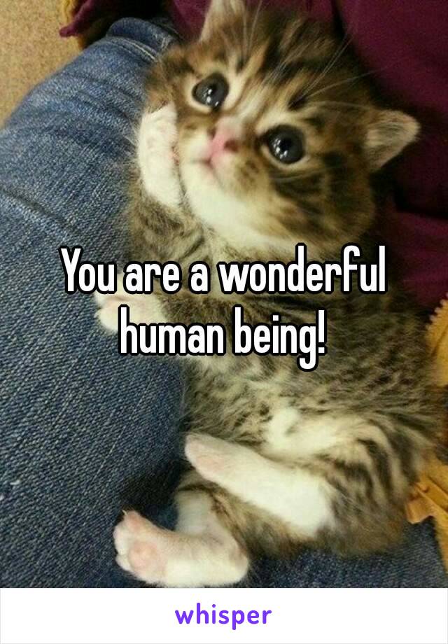 You are a wonderful
human being!