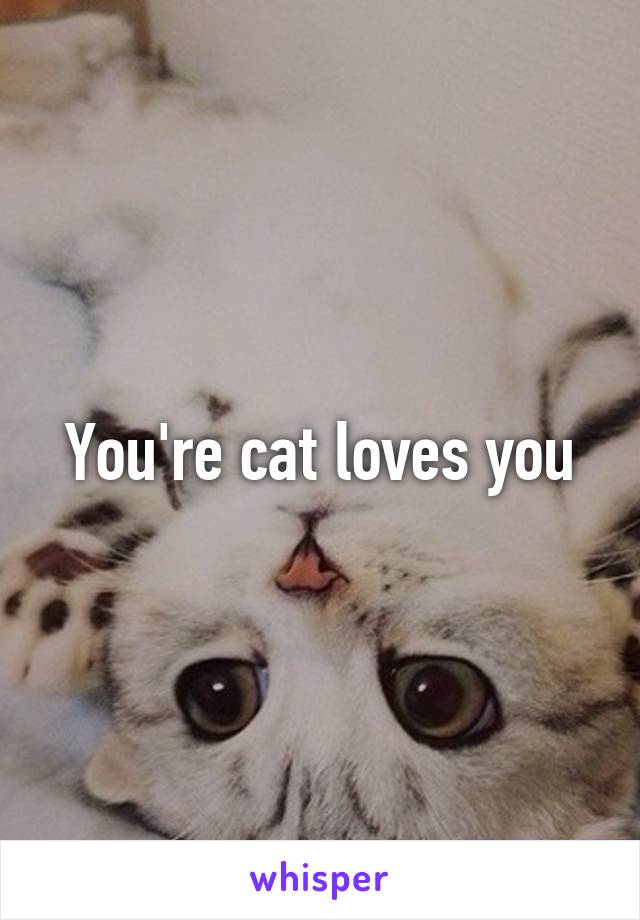 You're cat loves you