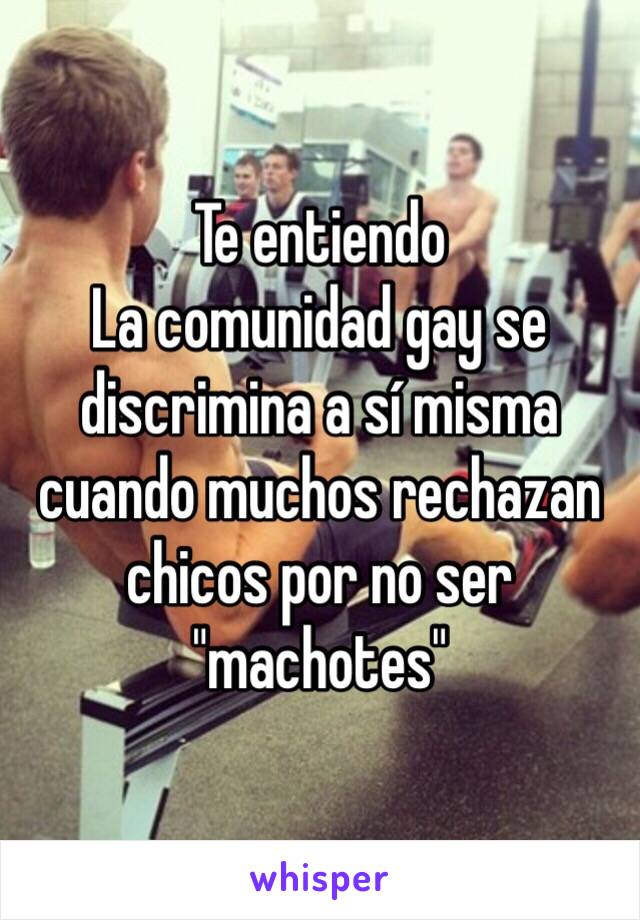 Te entiendo 
La comunidad gay se discrimina a sí misma cuando muchos rechazan chicos por no ser "machotes"