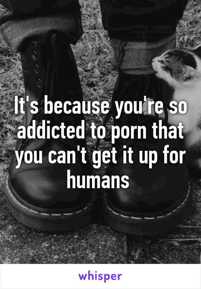 It's because you're so addicted to porn that you can't get it up for humans 
