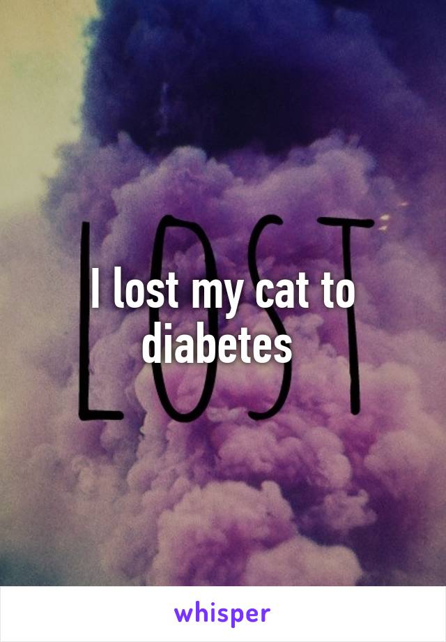 I lost my cat to diabetes 