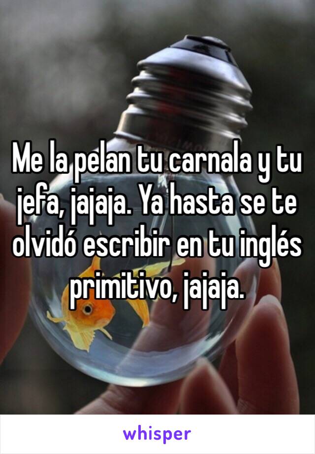 Me la pelan tu carnala y tu jefa, jajaja. Ya hasta se te olvidó escribir en tu inglés primitivo, jajaja.