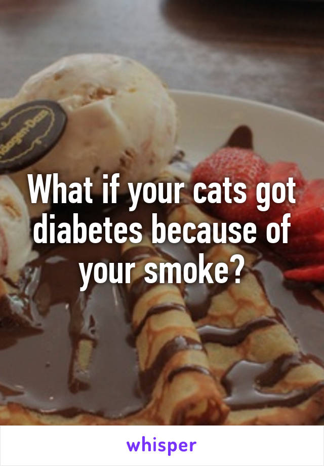 What if your cats got diabetes because of your smoke?