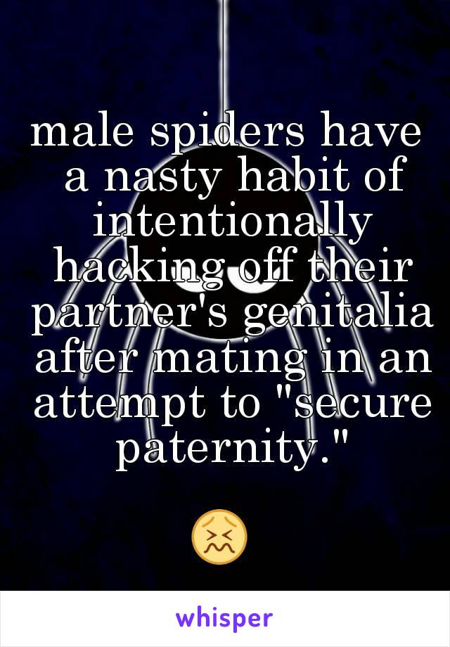 male spiders have a nasty habit of intentionally hacking off their partner's genitalia after mating in an attempt to "secure paternity."

😖 