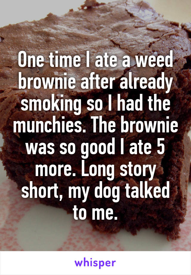 One time I ate a weed brownie after already smoking so I had the munchies. The brownie was so good I ate 5 more. Long story short, my dog talked to me.