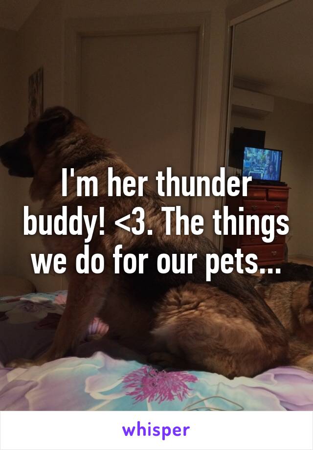 I'm her thunder buddy! <3. The things we do for our pets...