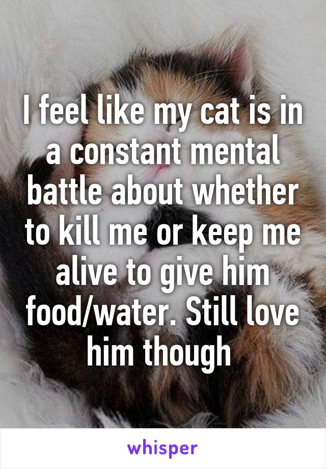 I feel like my cat is in a constant mental battle about whether to kill me or keep me alive to give him food/water. Still love him though 