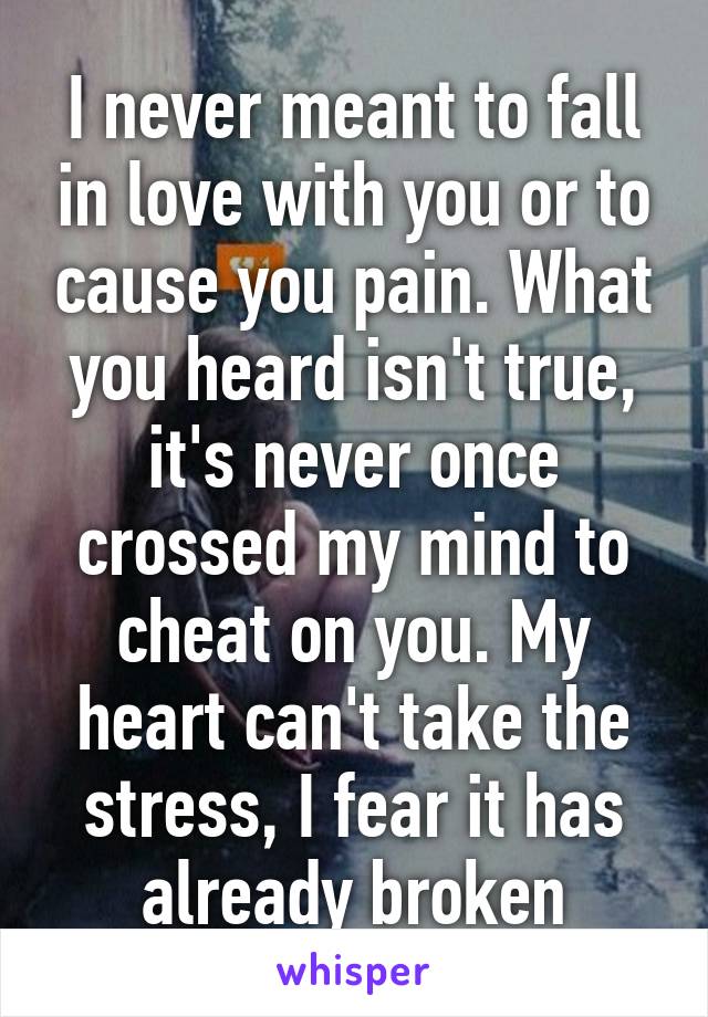 I never meant to fall in love with you or to cause you pain. What you heard isn't true, it's never once crossed my mind to cheat on you. My heart can't take the stress, I fear it has already broken