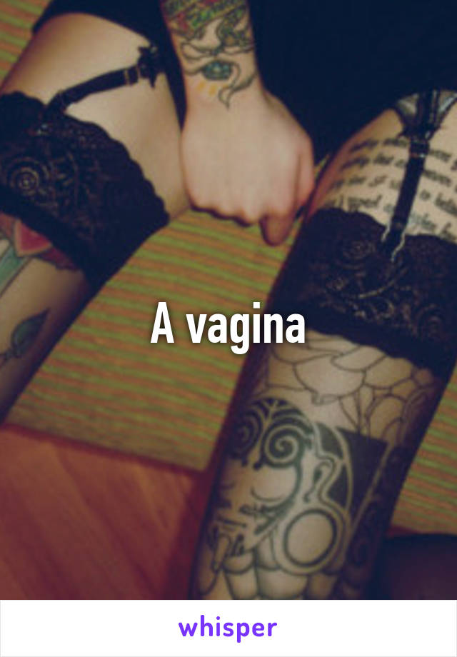 A vagina
