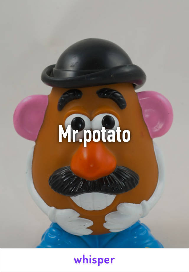 Mr.potato