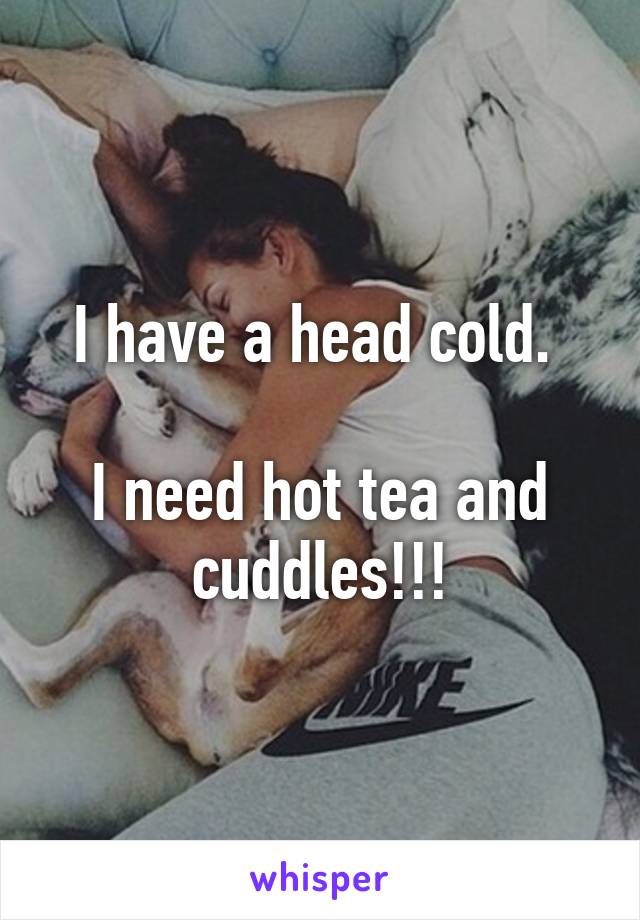 I have a head cold. 

I need hot tea and cuddles!!!