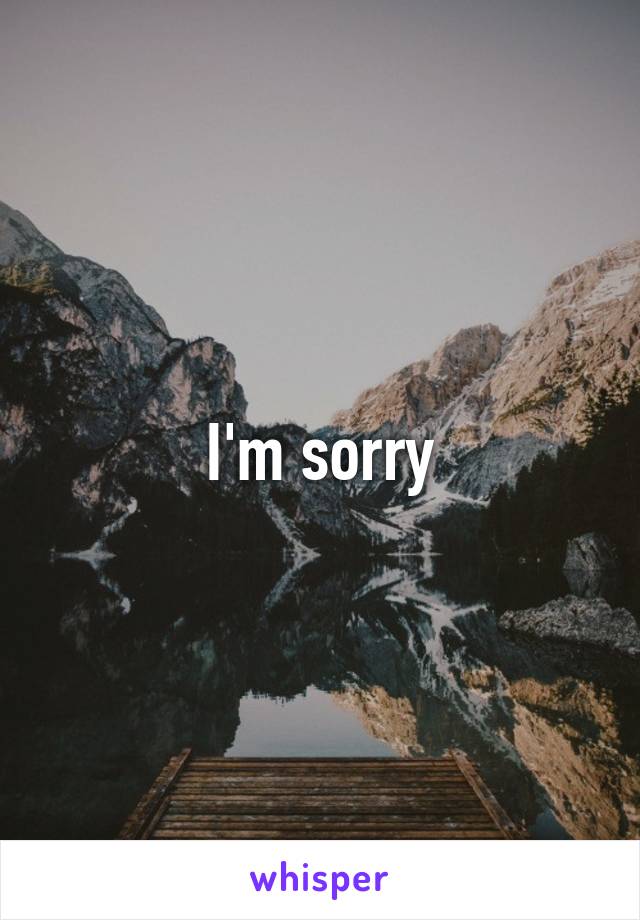 I'm sorry