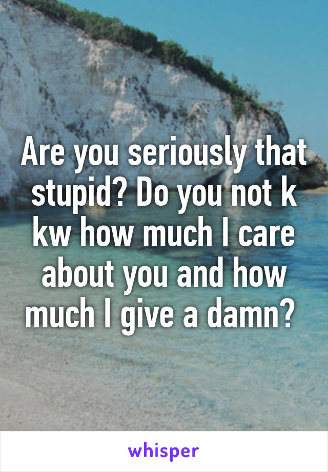 Are you seriously that stupid? Do you not k kw how much I care about you and how much I give a damn? 