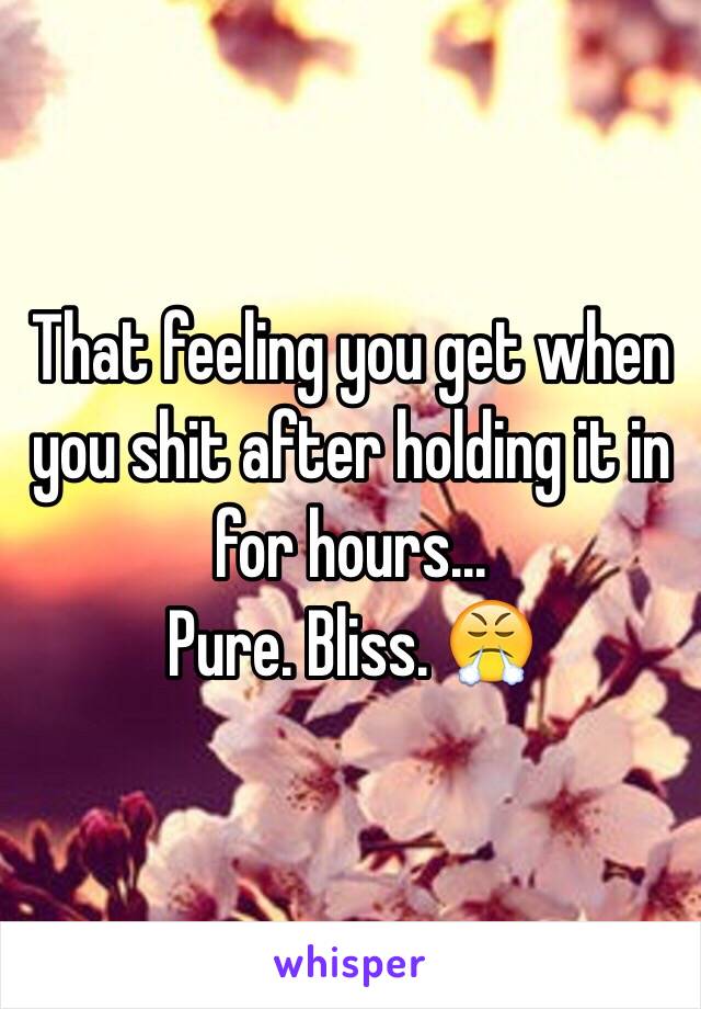 That feeling you get when you shit after holding it in for hours...
Pure. Bliss. 😤