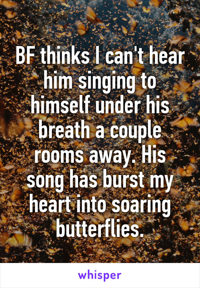 BF thinks I can't hear him singing to himself under his breath a couple rooms away. His song has burst my heart into soaring butterflies.