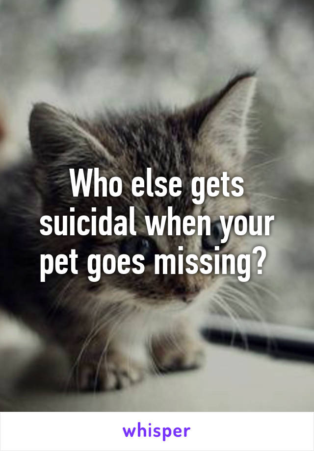 Who else gets suicidal when your pet goes missing? 