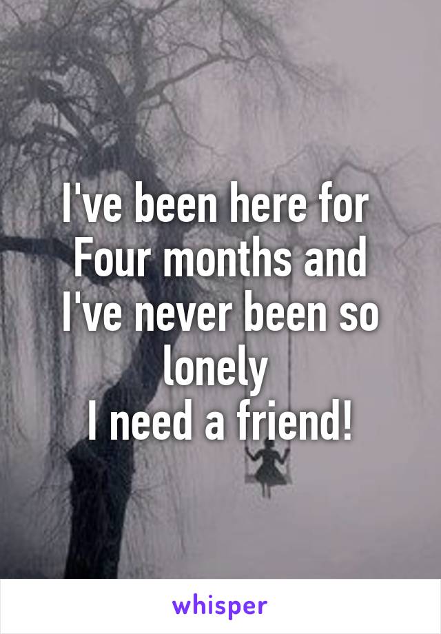 I've been here for 
Four months and
I've never been so lonely 
I need a friend!