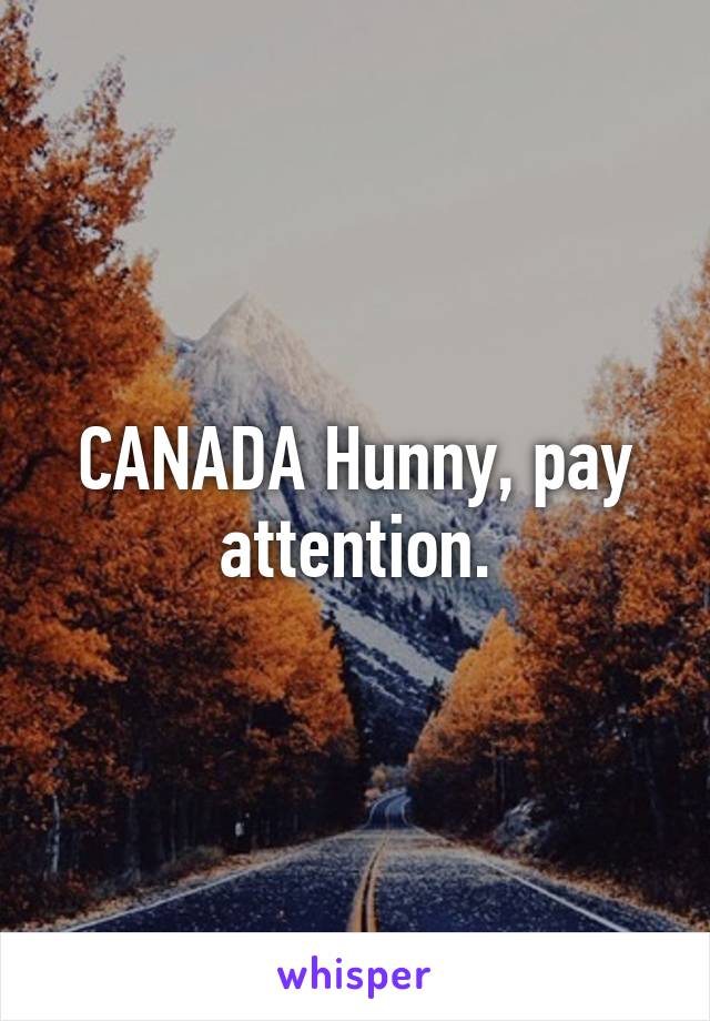 CANADA Hunny, pay attention.