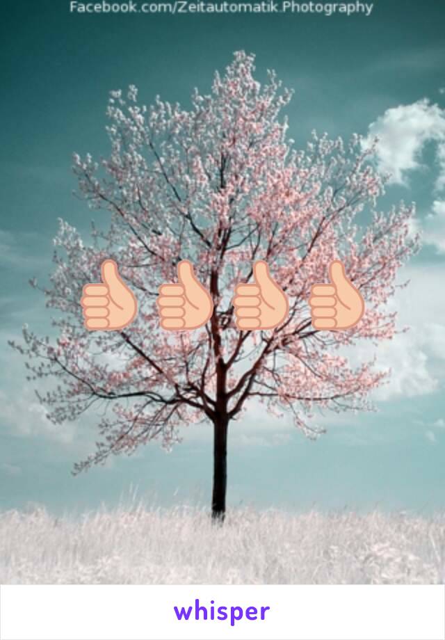 👍👍👍👍