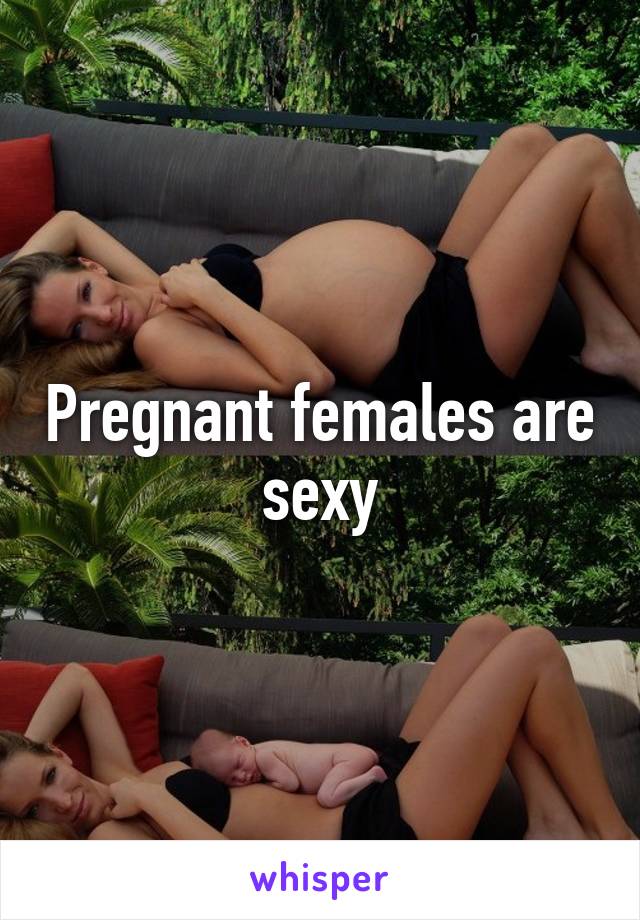 Pregnant females are sexy