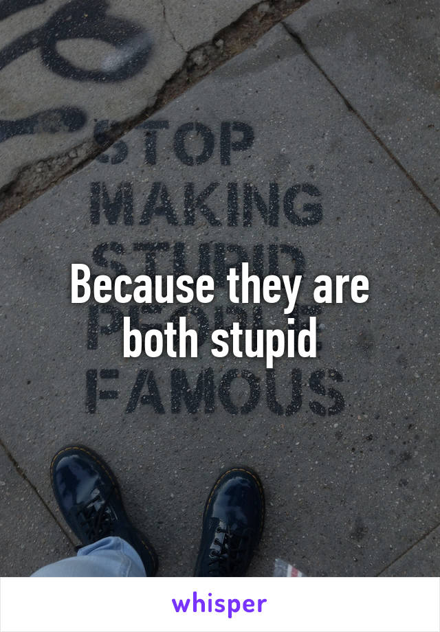 Because they are both stupid