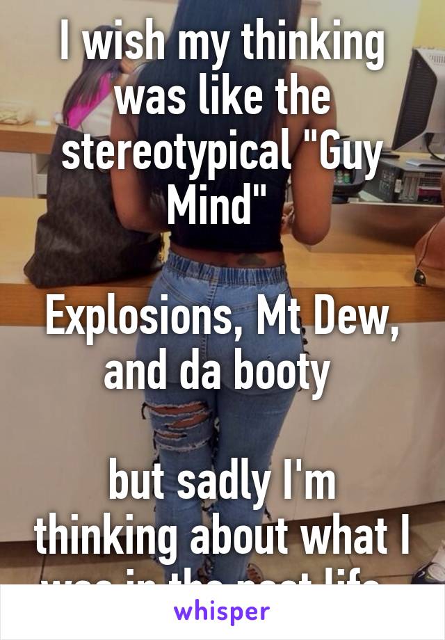 I wish my thinking was like the stereotypical "Guy Mind" 

Explosions, Mt Dew, and da booty 

but sadly I'm thinking about what I was in the past life..