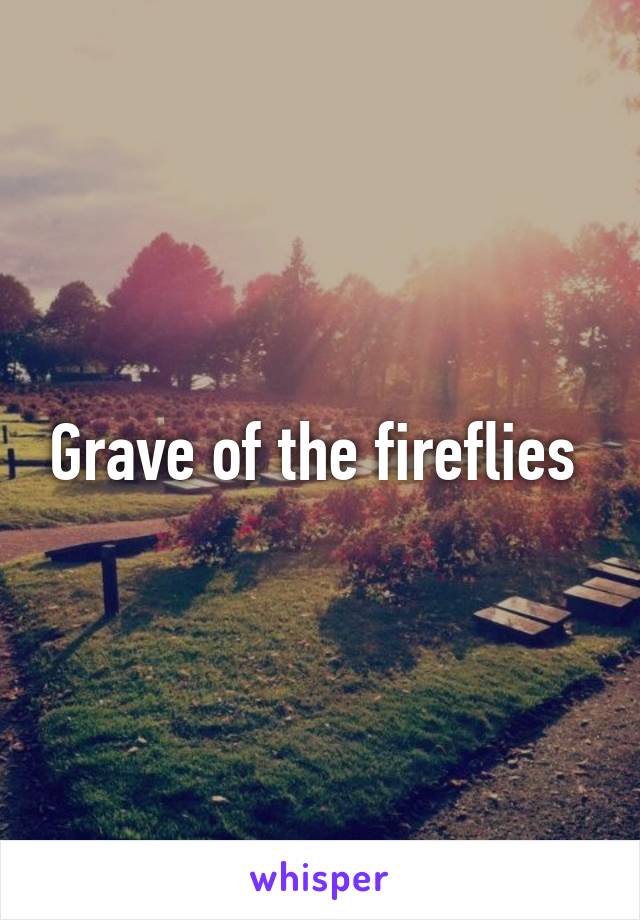 Grave of the fireflies 