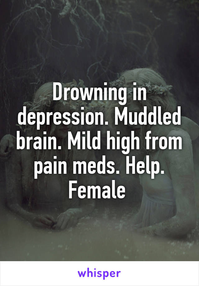 Drowning in depression. Muddled brain. Mild high from pain meds. Help. Female 