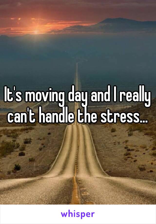 It's moving day and I really can't handle the stress... 