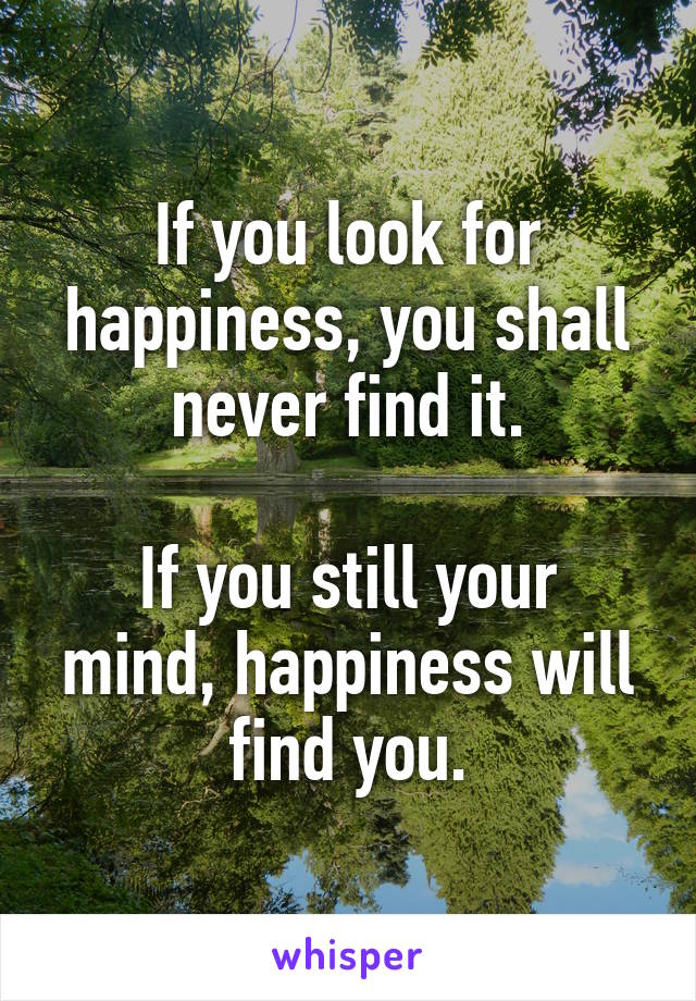 If you look for happiness, you shall never find it.

If you still your mind, happiness will find you.