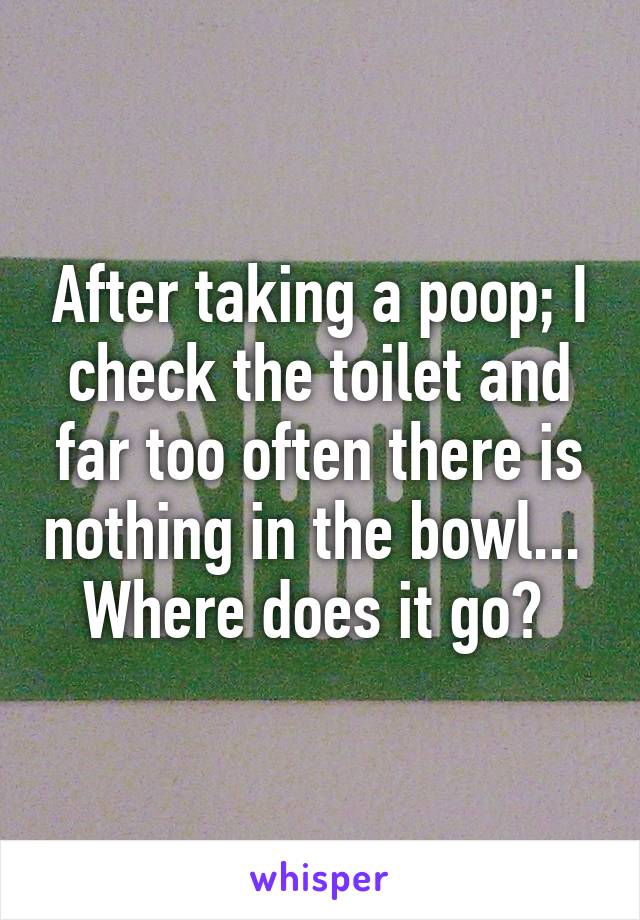 After taking a poop; I check the toilet and far too often there is nothing in the bowl... 
Where does it go? 