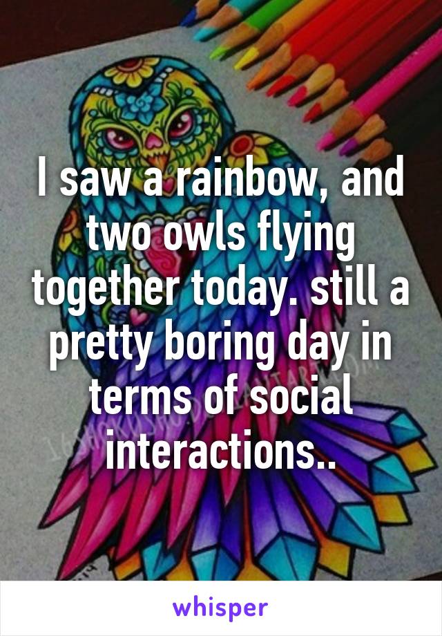 I saw a rainbow, and two owls flying together today. still a pretty boring day in terms of social interactions..