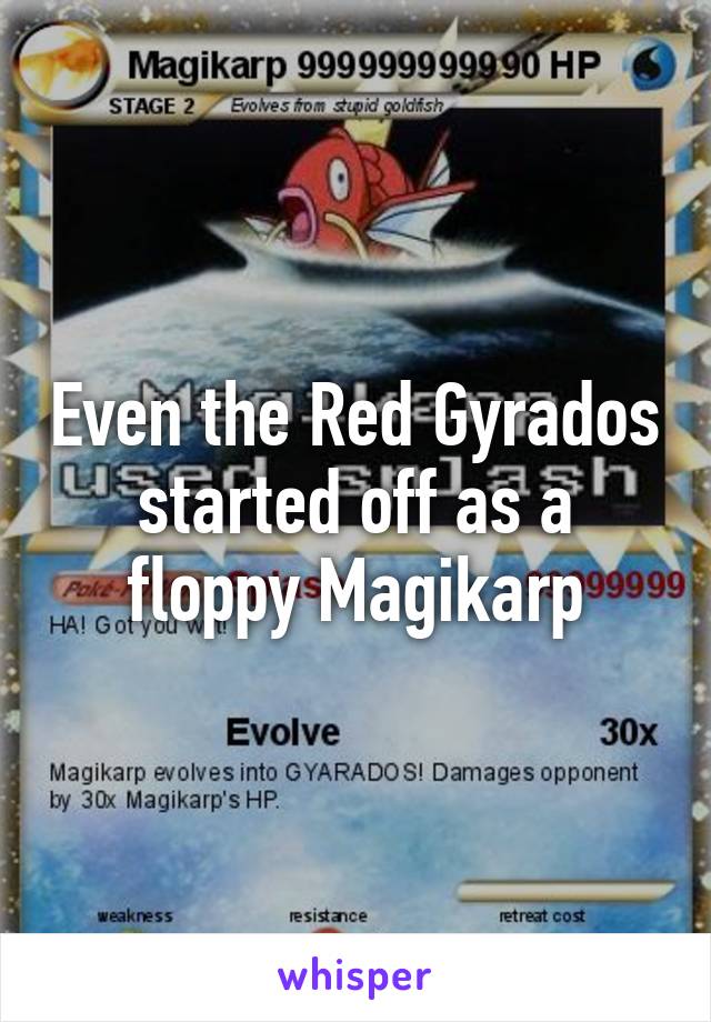 Even the Red Gyrados started off as a floppy Magikarp