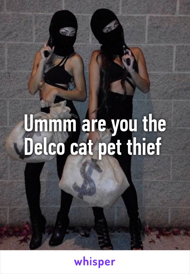 Ummm are you the Delco cat pet thief 